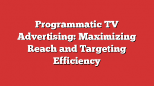 Programmatic TV Advertising: Maximizing Reach and Targeting Efficiency