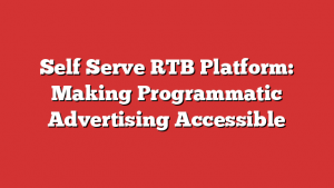 Self Serve RTB Platform: Making Programmatic Advertising Accessible