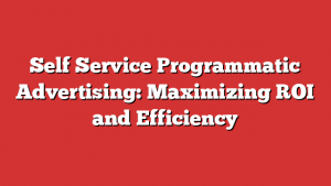 Self Service Programmatic Advertising: Maximizing ROI and Efficiency