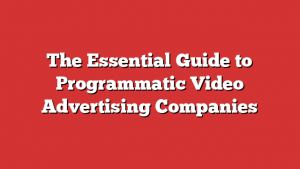 The Essential Guide to Programmatic Video Advertising Companies