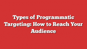 Types of Programmatic Targeting: How to Reach Your Audience