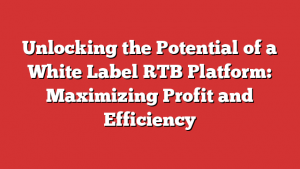 Unlocking the Potential of a White Label RTB Platform: Maximizing Profit and Efficiency