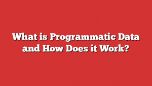 What Is Programmatic Data And How Does It Work?