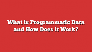 What is Programmatic Data and How Does it Work?