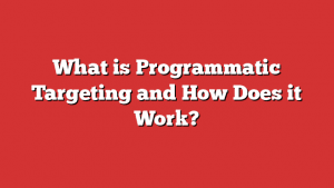 What Is Programmatic Targeting And How Does It Work?