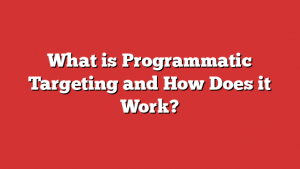 What is Programmatic Targeting and How Does it Work?