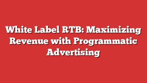 White Label Rtb: Maximizing Revenue With Programmatic Advertising