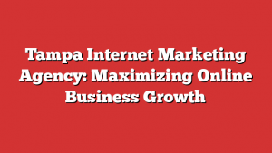 Tampa Internet Marketing Agency: Maximizing Online Business Growth