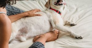 Forms Of Online Advertising