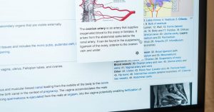 Google Display Network Pdf