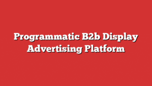 Programmatic B2B Display Advertising Platform
