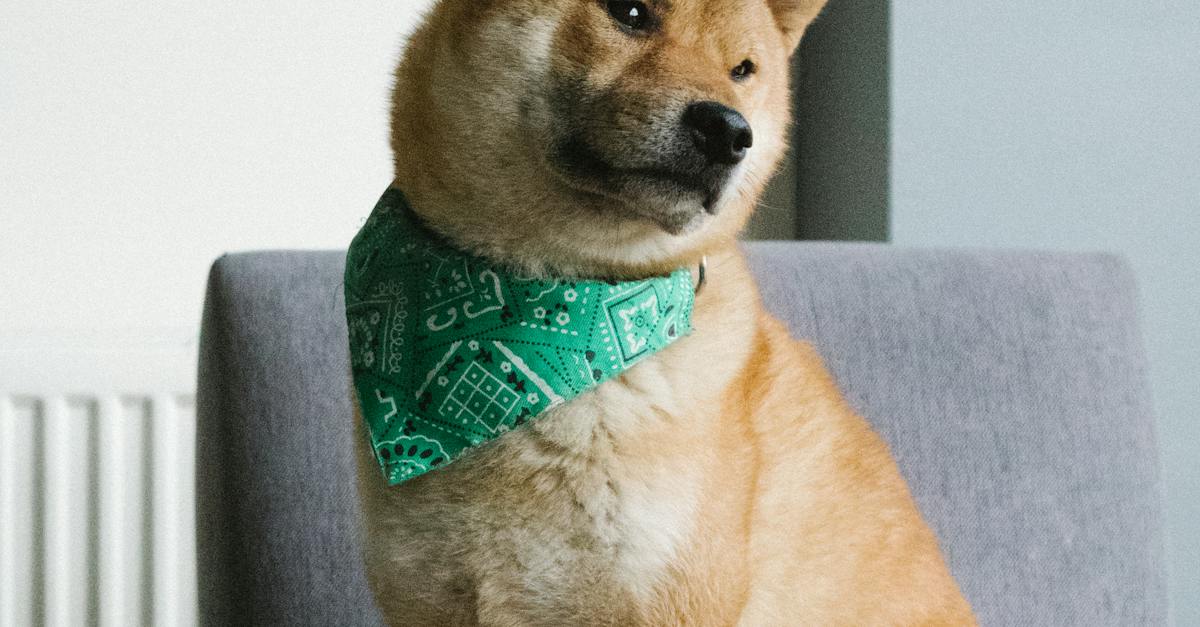 Que Es Facebook Ads Que Es Facebook Ads