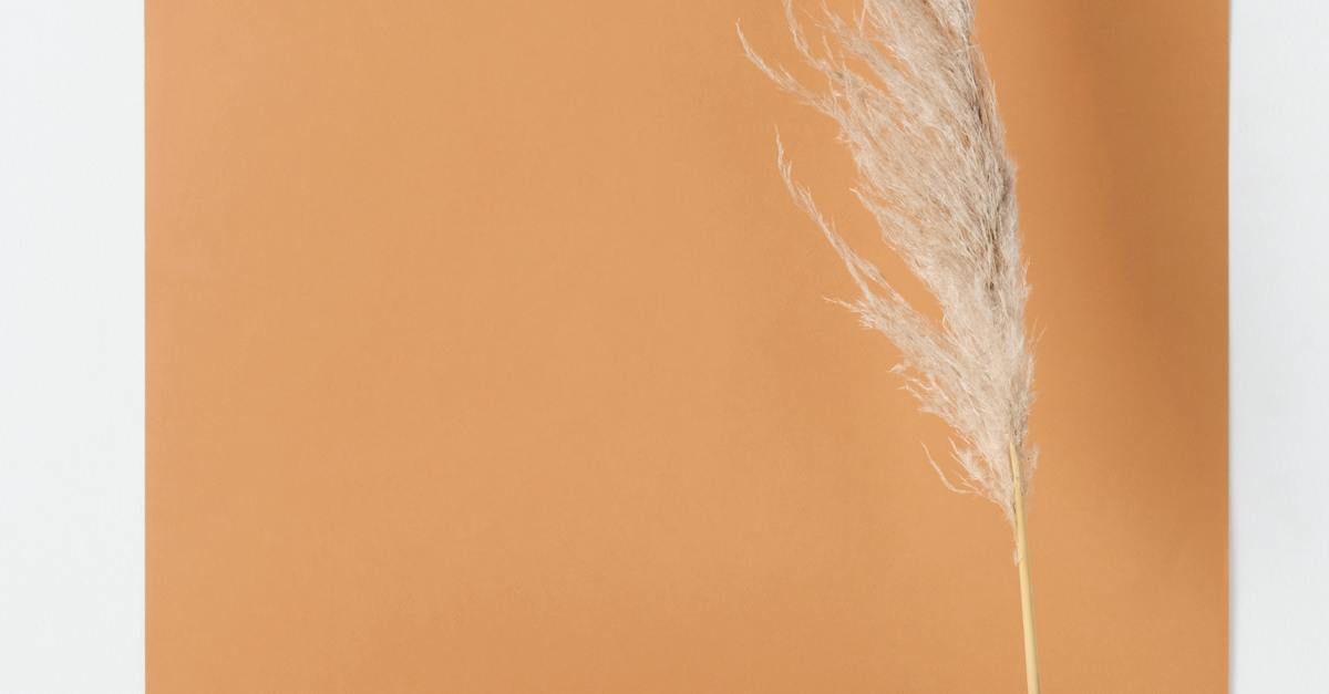 Online Marketing Qualification Test