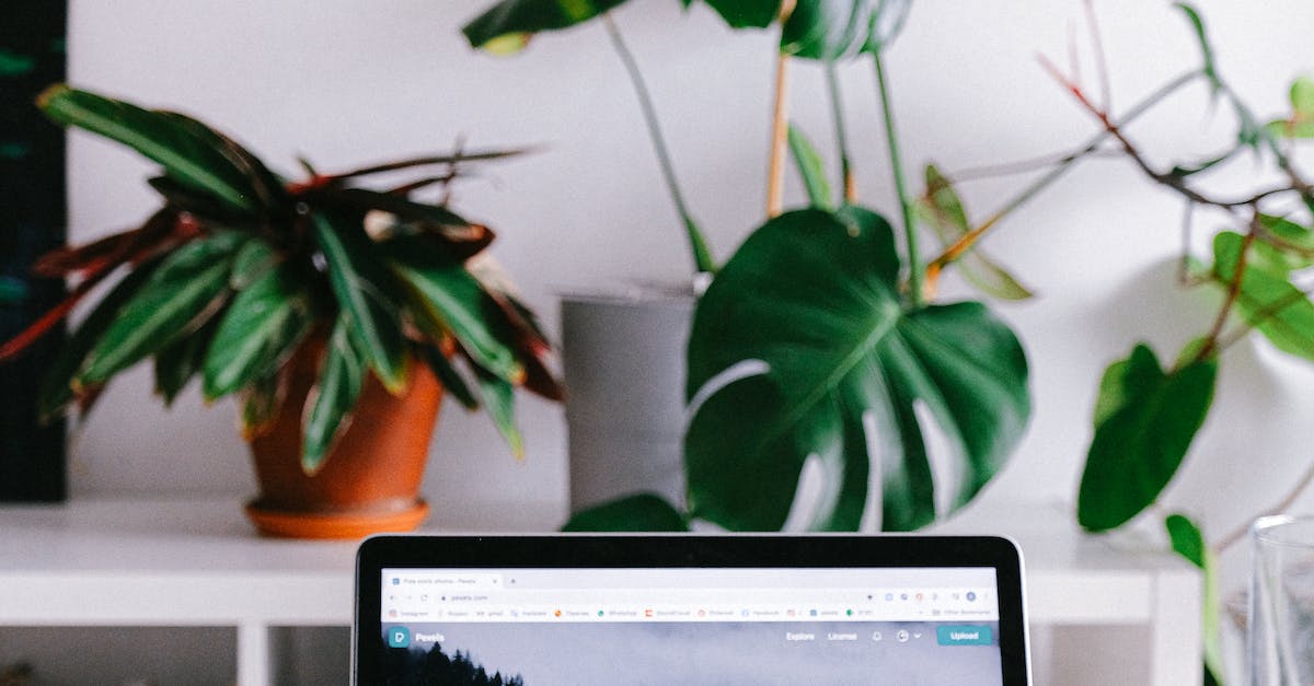 Marketing Programs Online Courses