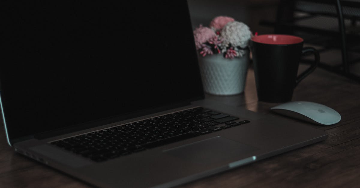 Entry Level Digital Marketing Jobs Near Me Indeed