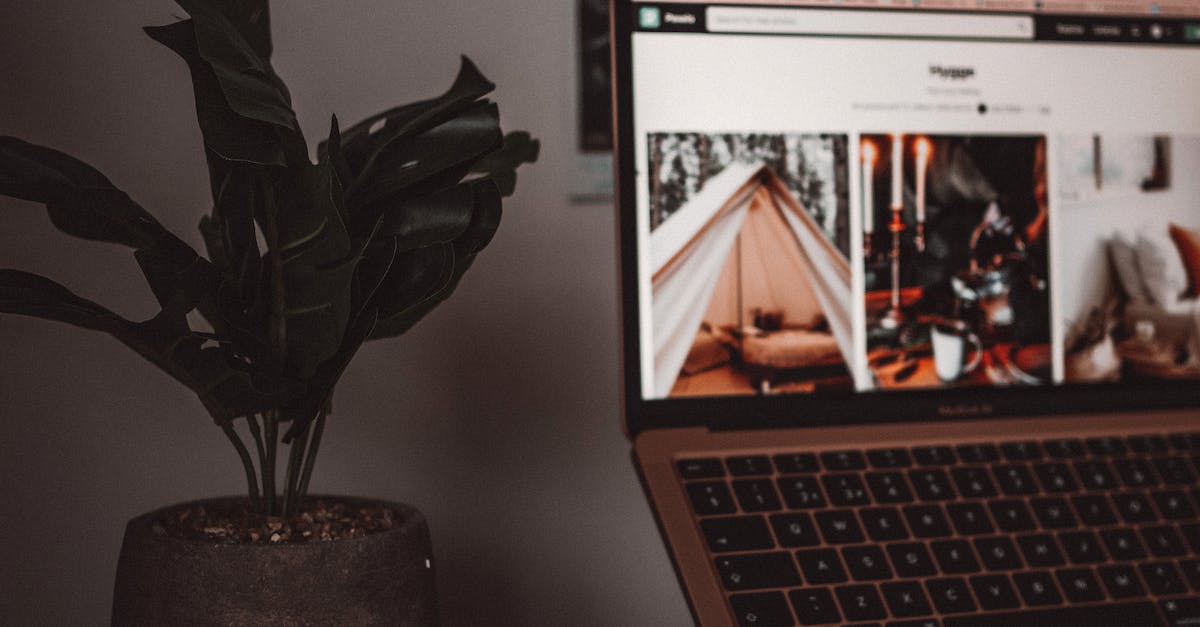 Apprenticeship In Digital Marketing