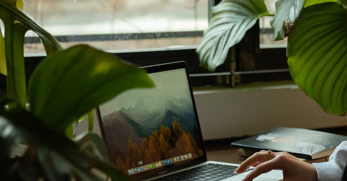 Digital Marketing Company California