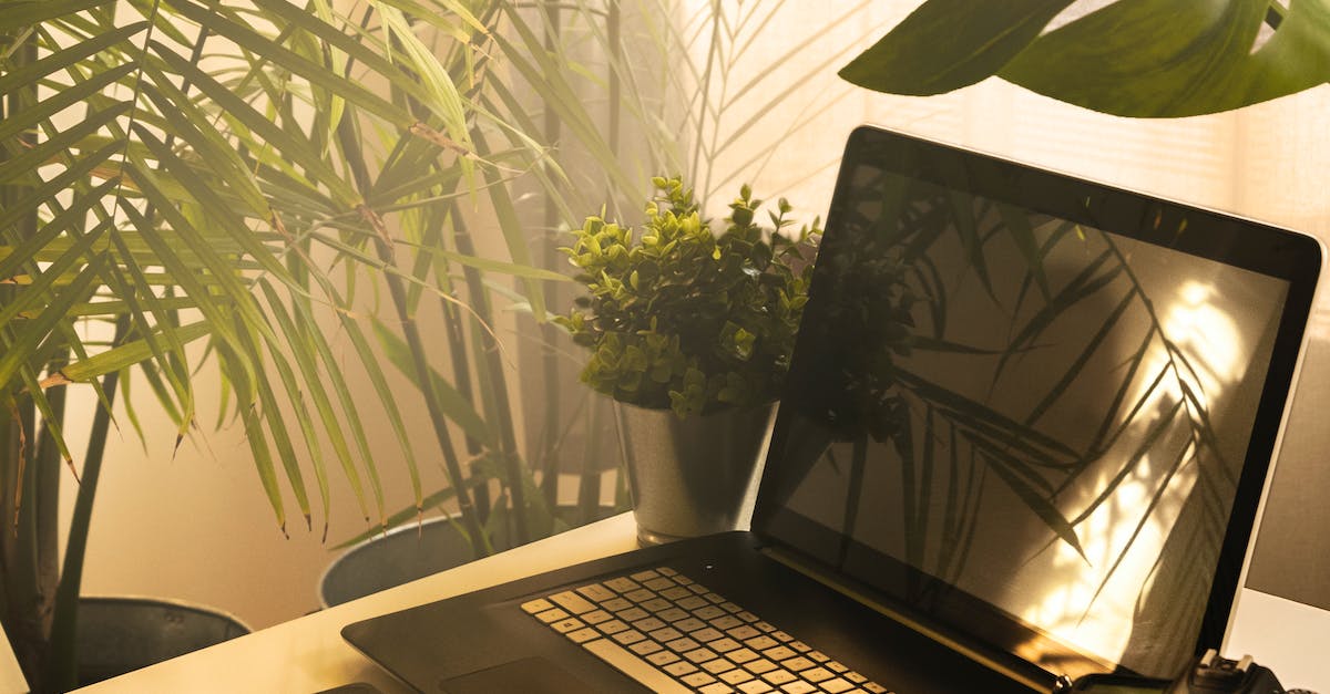 Best Online Digital Marketing Degree Outcomes