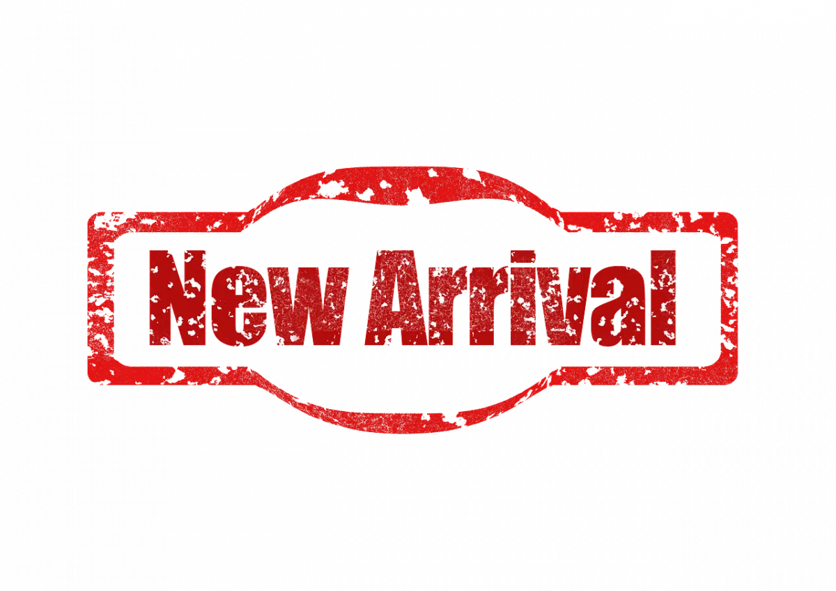 Buy Genuine Traffic Department