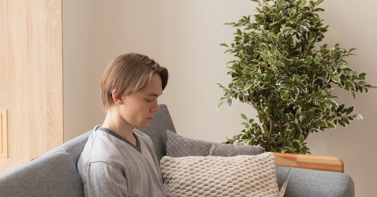 Free Online Marketing Courses 2024 Subaru Brz