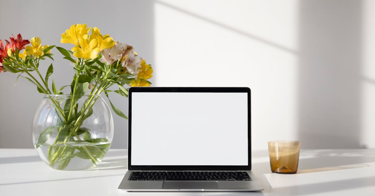 Director Digital Marketing Jobs