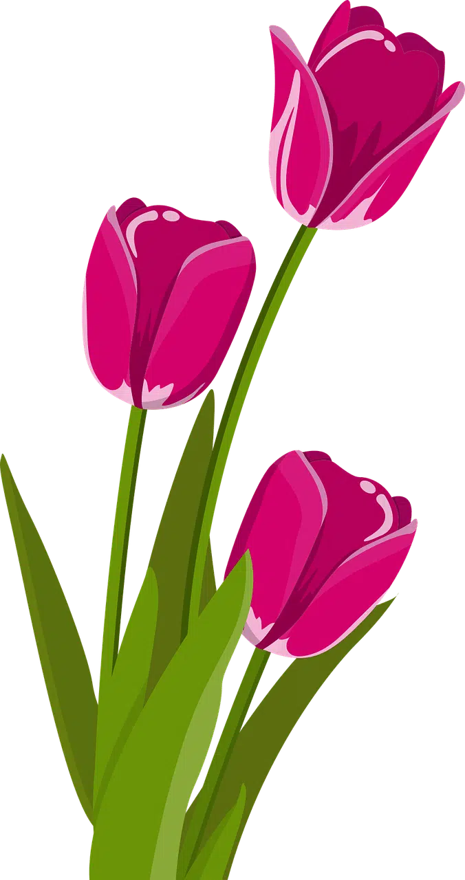 Buy German Traffic K