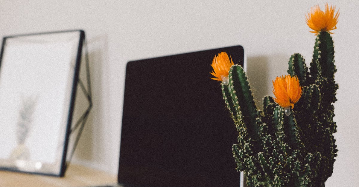 Digital Marketing Jobs Near Me For Freshers Digital Marketing Jobs Near Me For Freshers