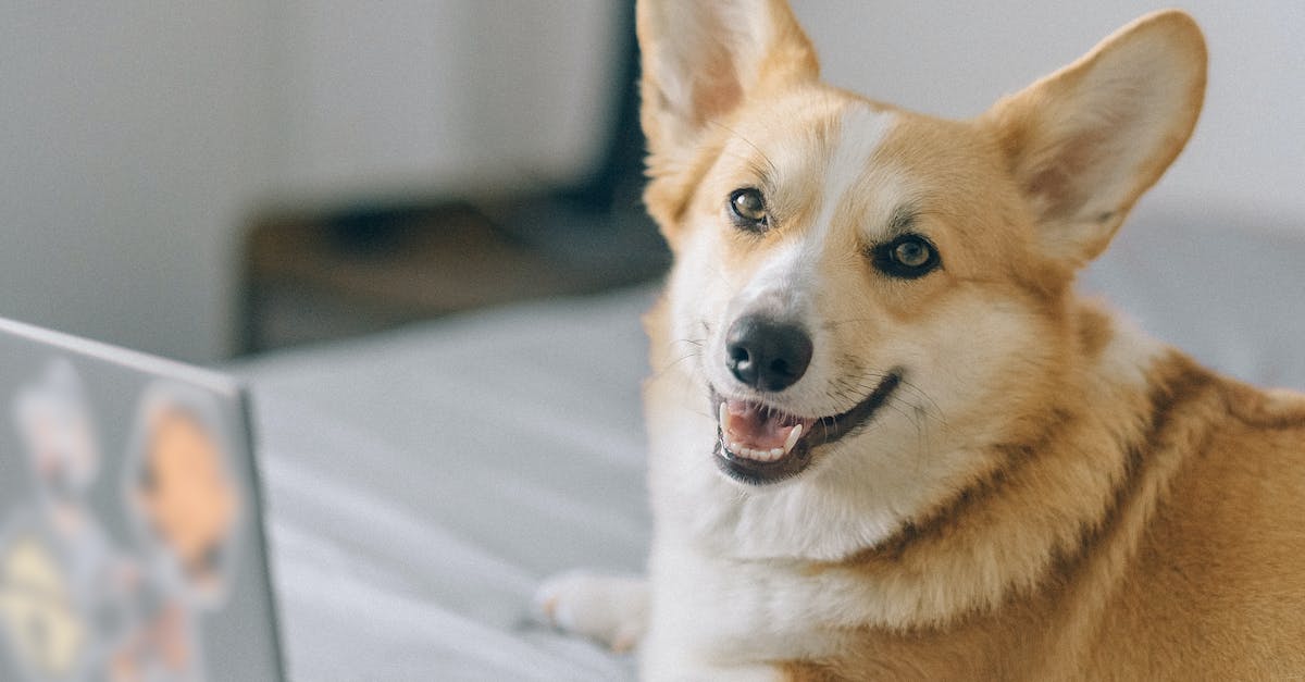 Top Dentist Offering Digital Marketing