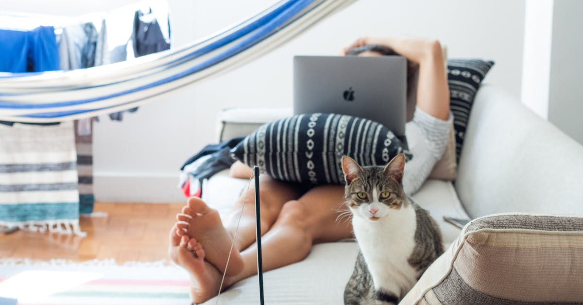 Connect To Facebook Com