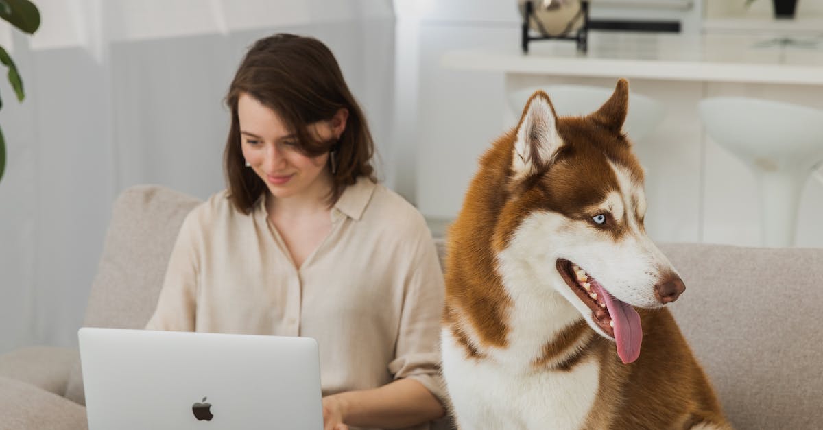 Gerenciador Gerenciador