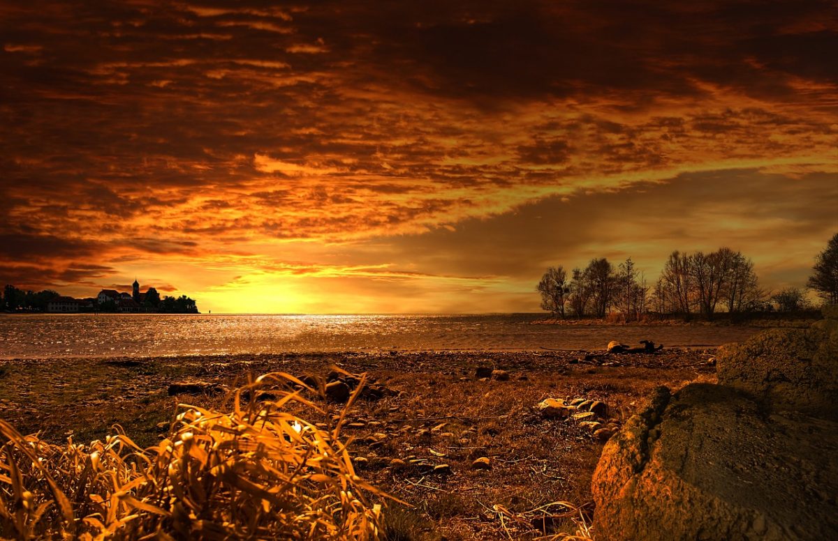 Advertiser Obituaries Adelaide