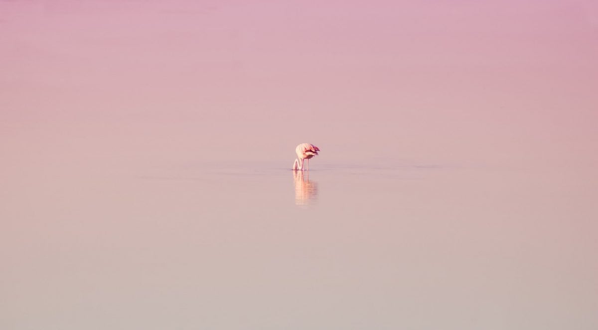 Ads Network Gmbh Stands For Ads Network Gmbh Stands For