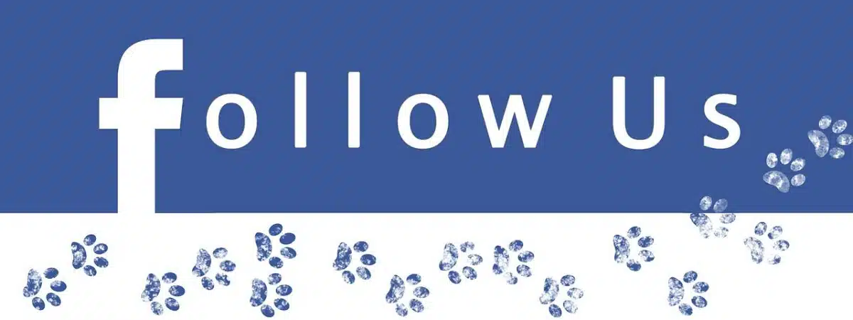 Affiliate Marketing Ads