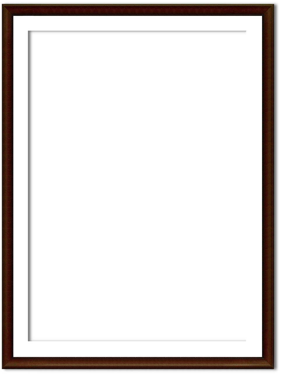 Ad Networks Highest Paying Plasma