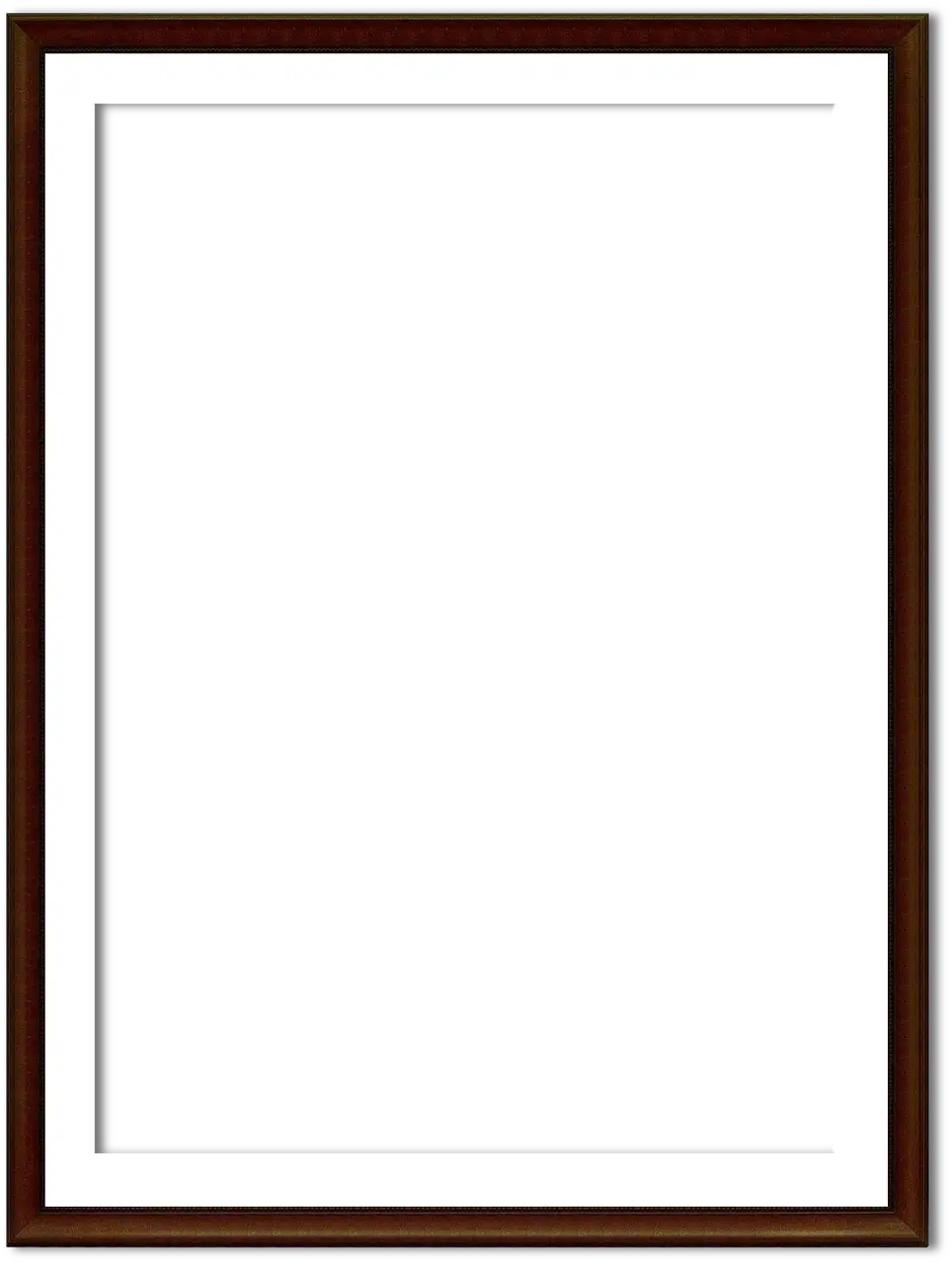 Ad Networks Highest Paying Plasma