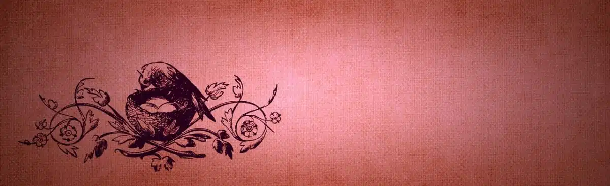 Cartoon Network Commercials July 2003