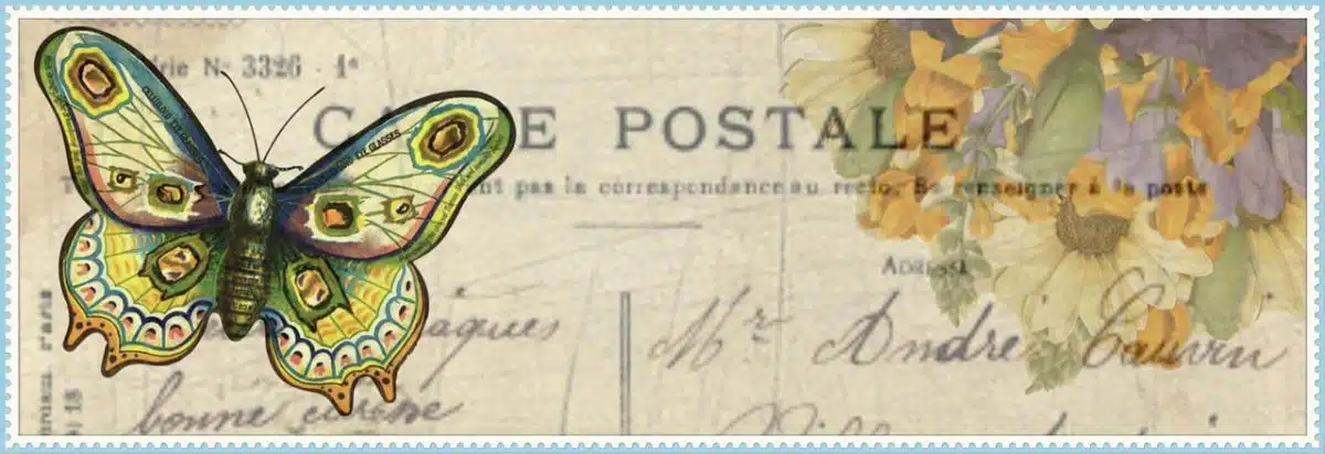 Dsp  Darksydephil Twitch