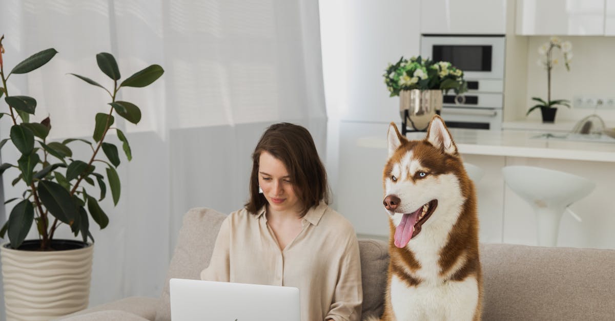 What To Advertise What To Advertise