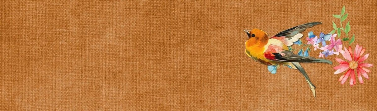 Ee Advertisement Actor