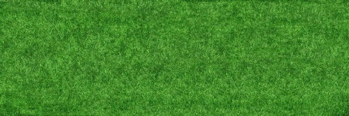 Internet Traffic Users Websites To Visit