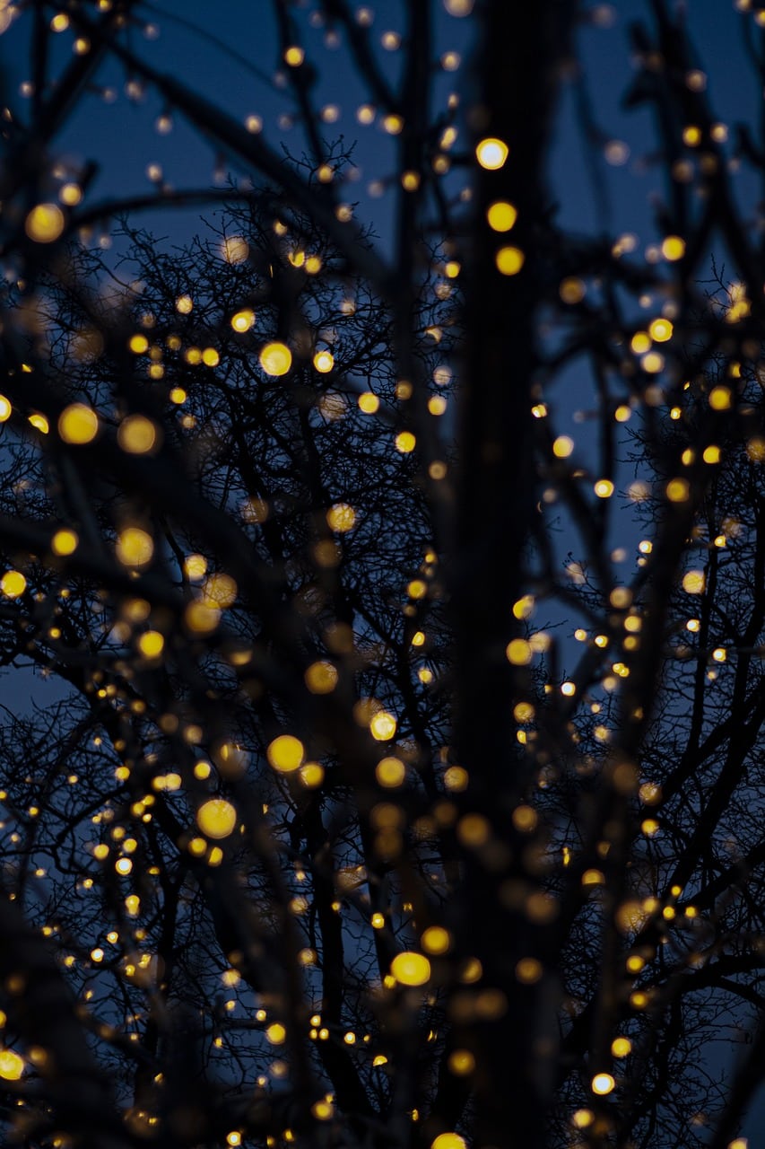 What Is The Best Automated Trading Platform