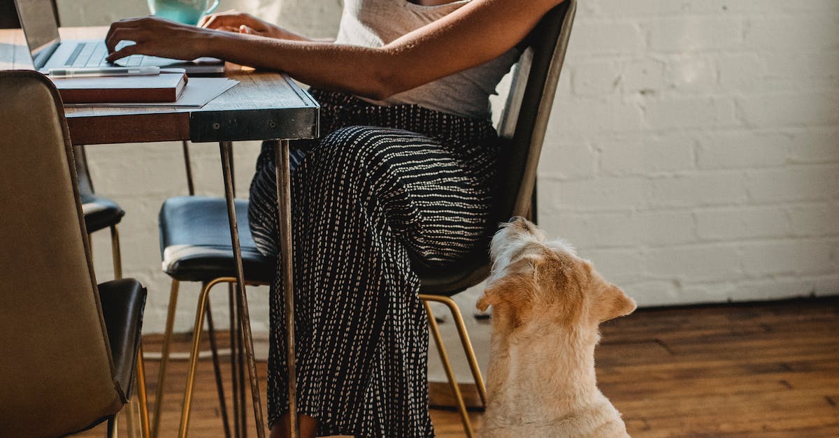 Average Cost Of Facebook Ads