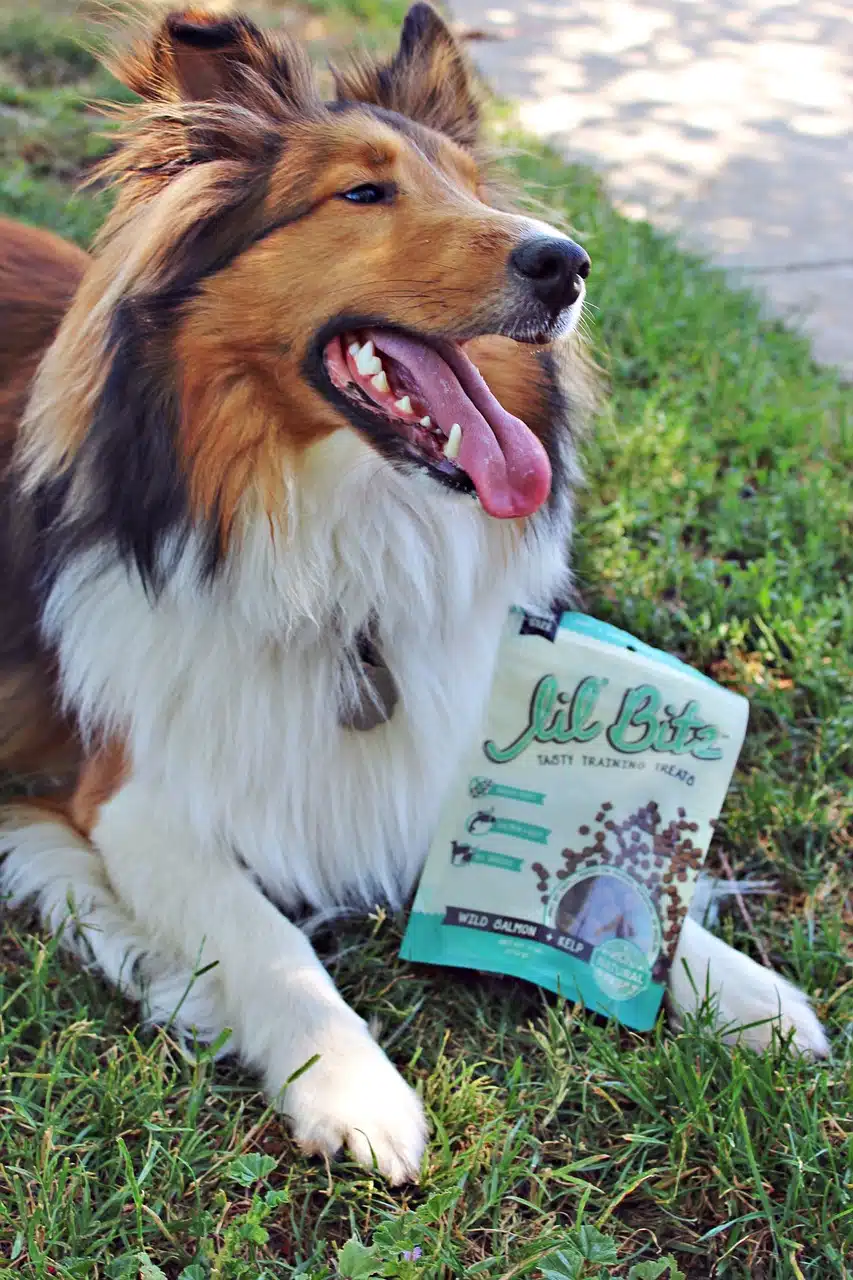 What Does Native Ads Mean