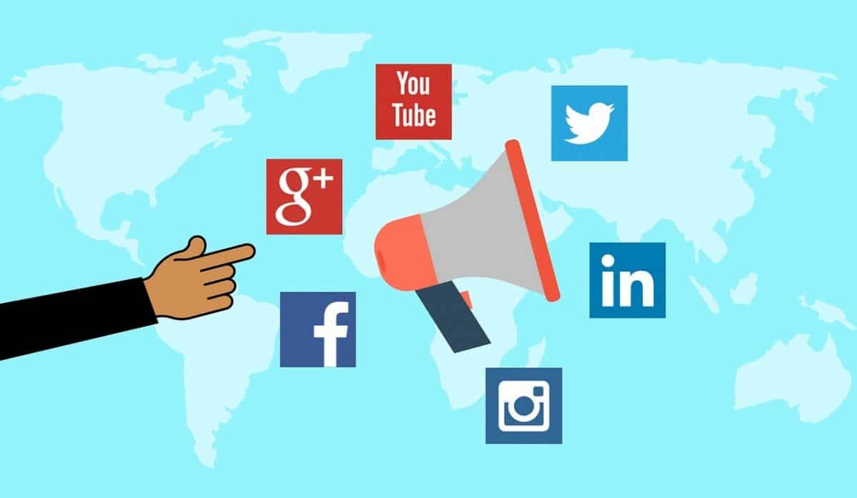 Ads On Social Media Platforms Images Of Cats