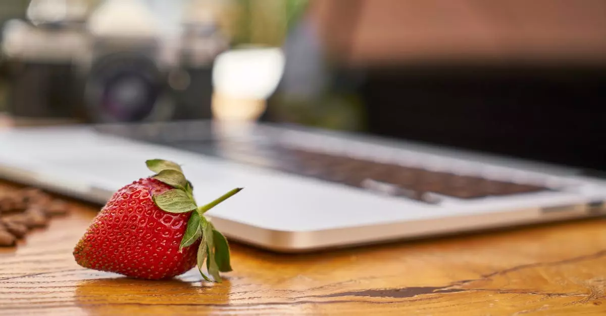 Facebook Ads Support