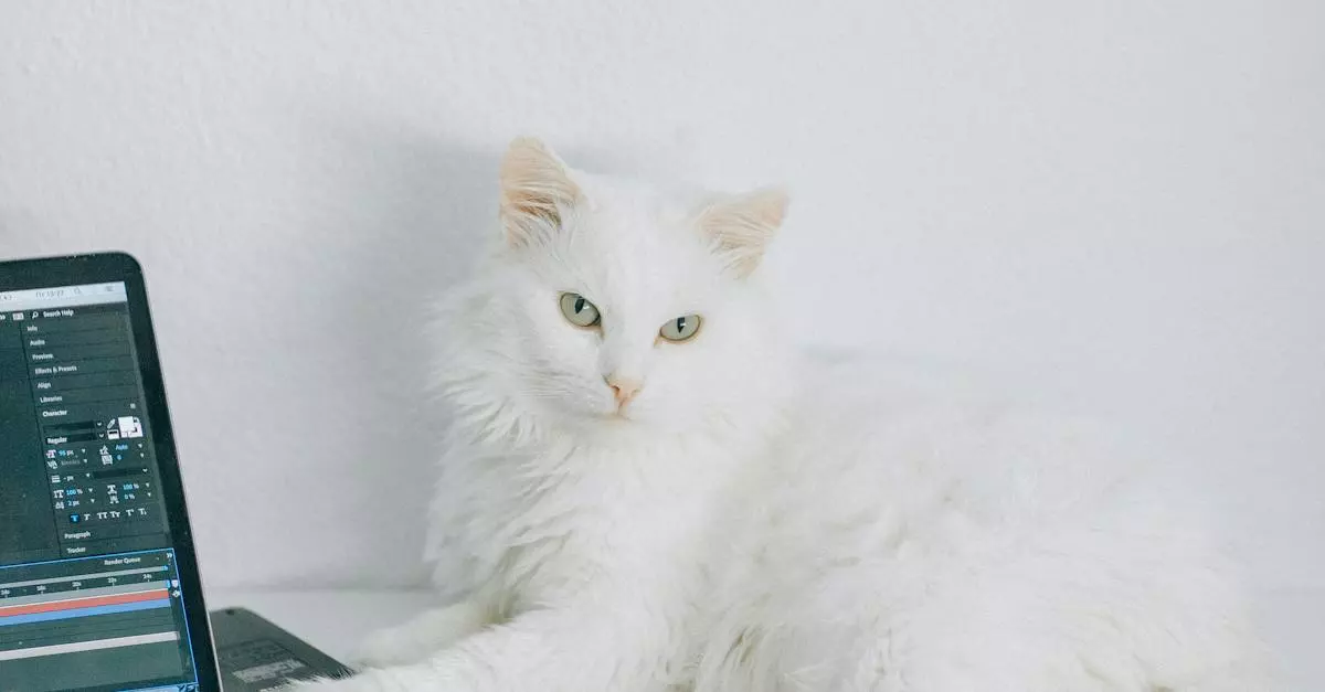 Facebook Job Posting Ads 1 Facebook Job Posting Ads