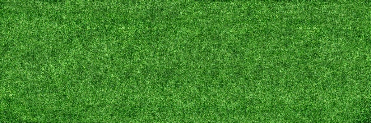 Buy Redirect Trafficking