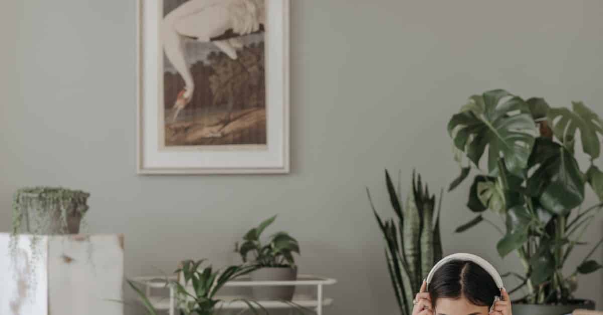 Facebook Ads For Music