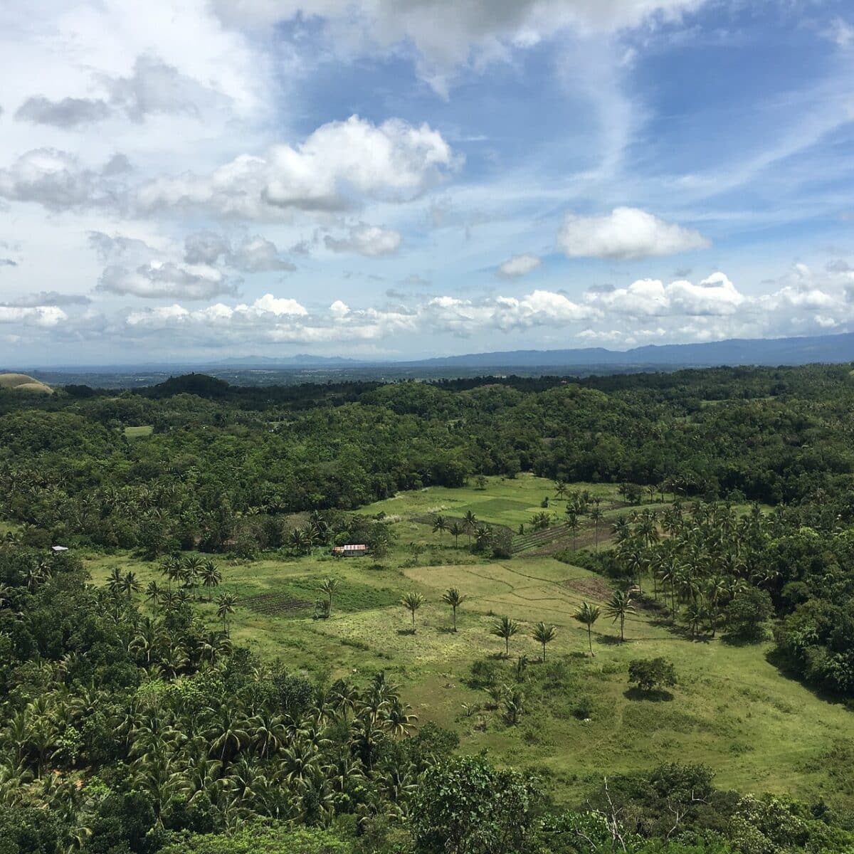 Buy Traffic Australia Got