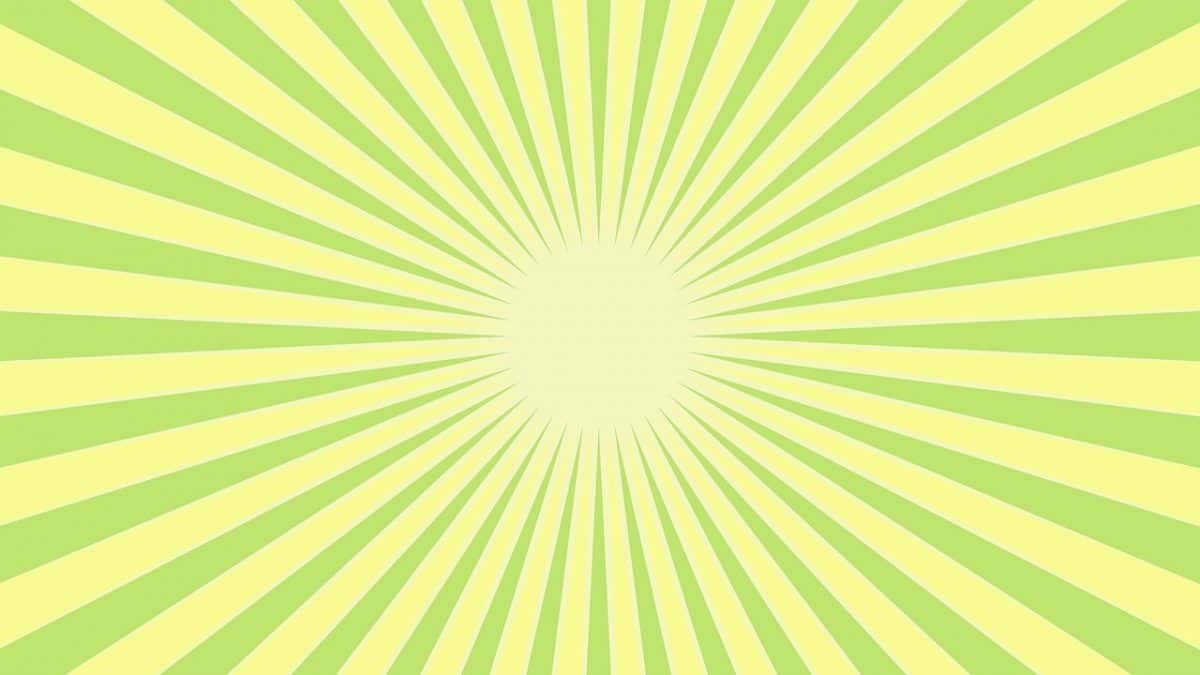 Buy A Traffic Cone Importer